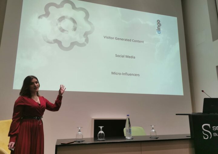 dingo marketing team